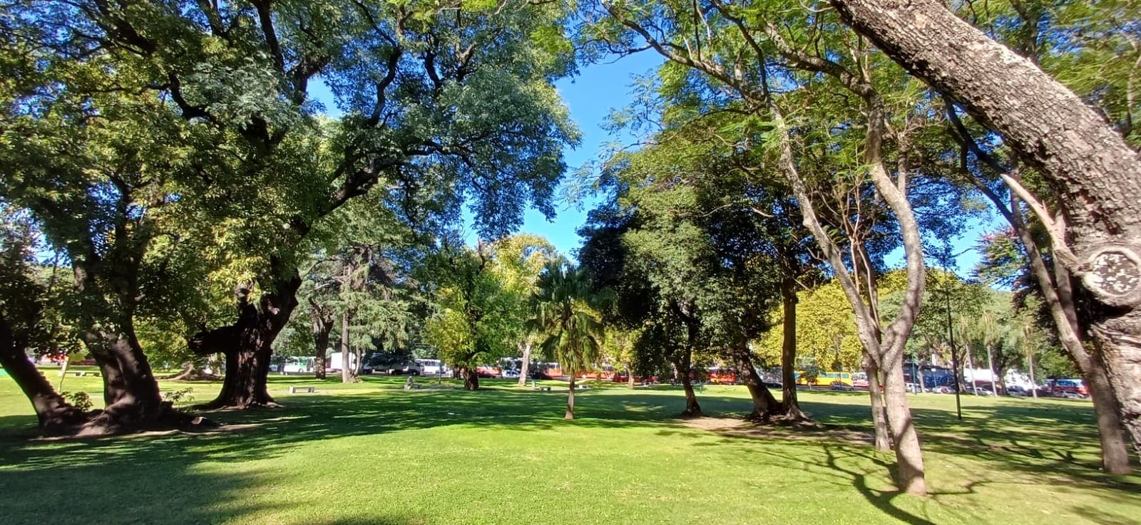 Imagen de galería 1