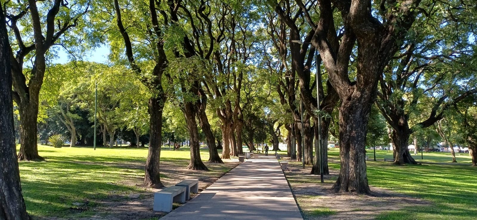 Imagen de galería 1