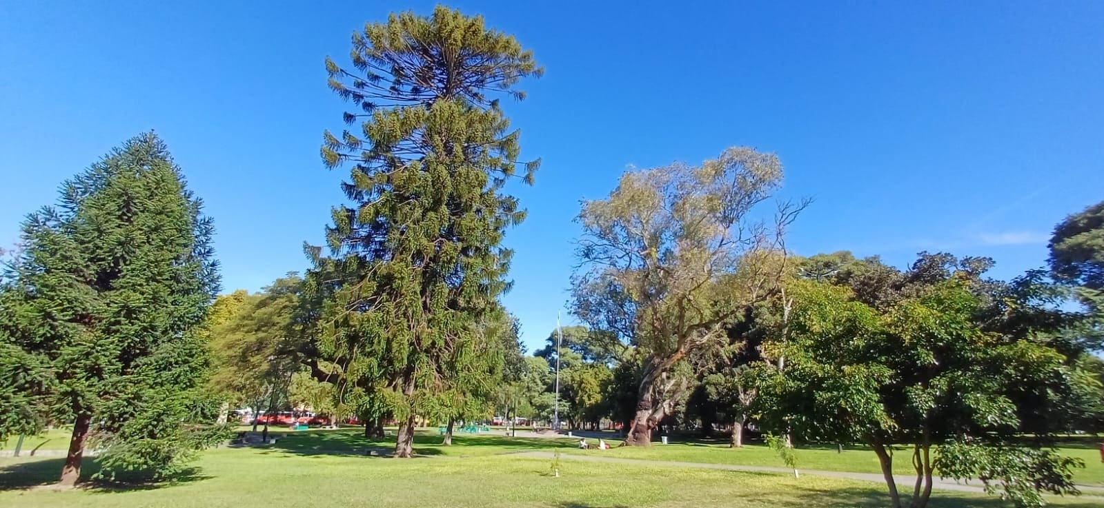 Imagen de galería 1