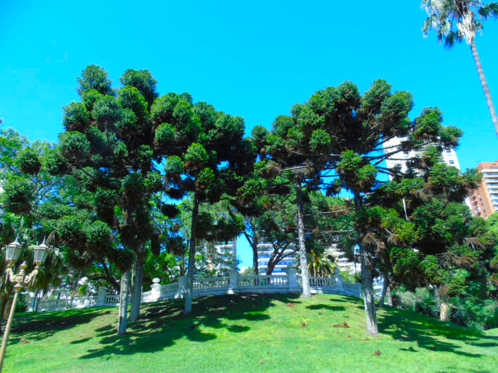 Balaustrada