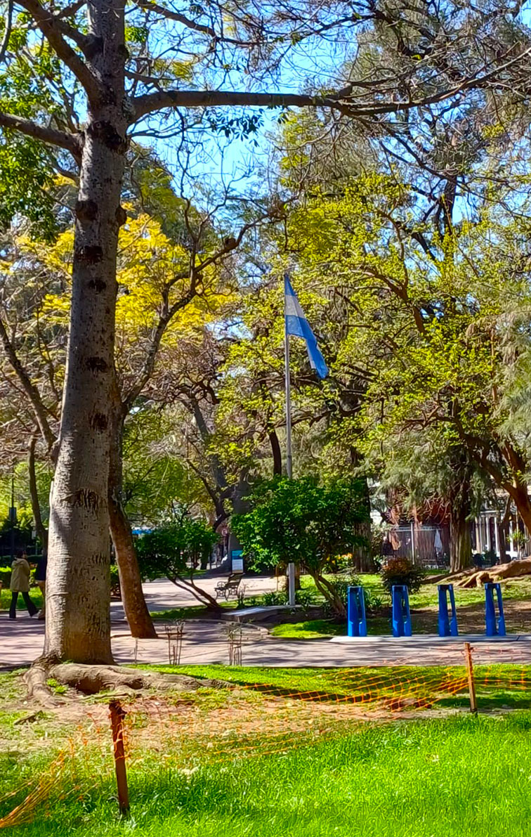 Homenaje a la Bandera
