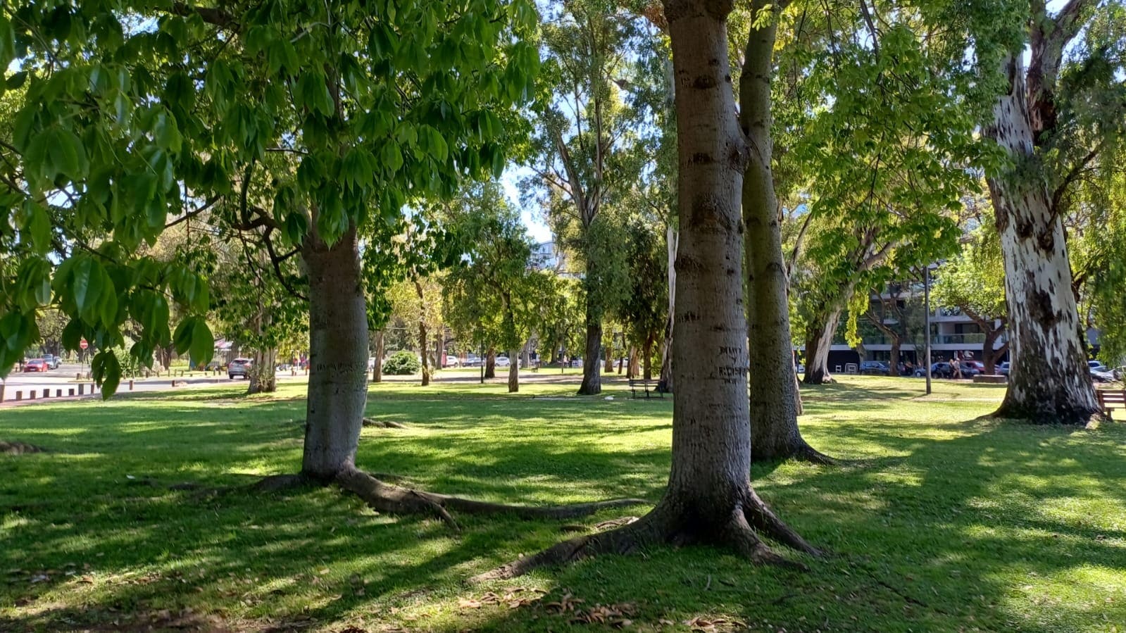 Imagen de galería 1