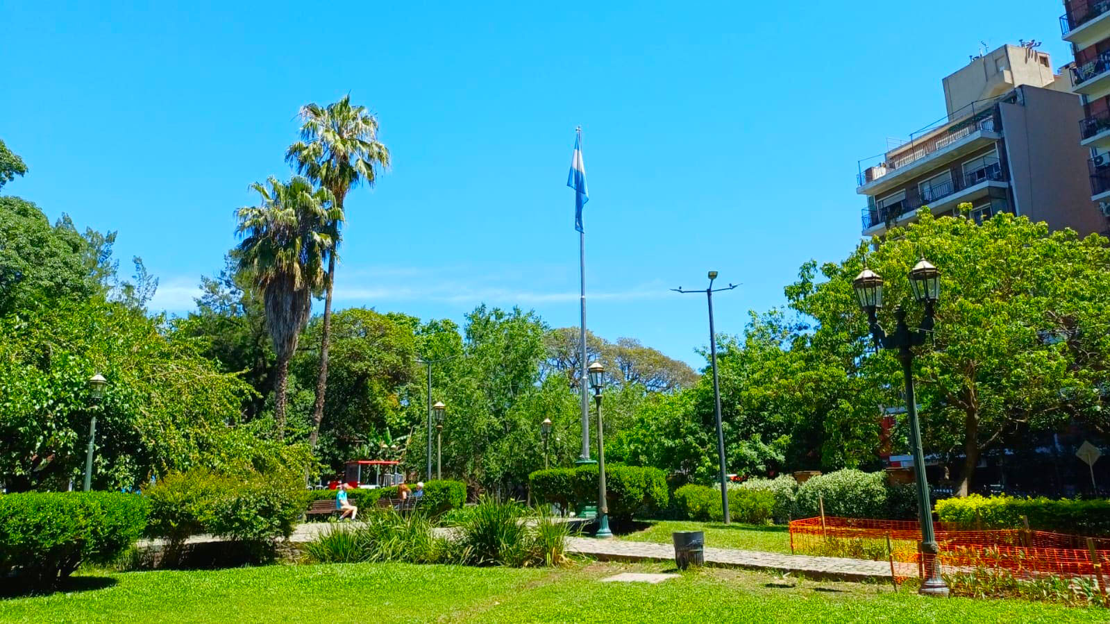 Plaza de los Olmos