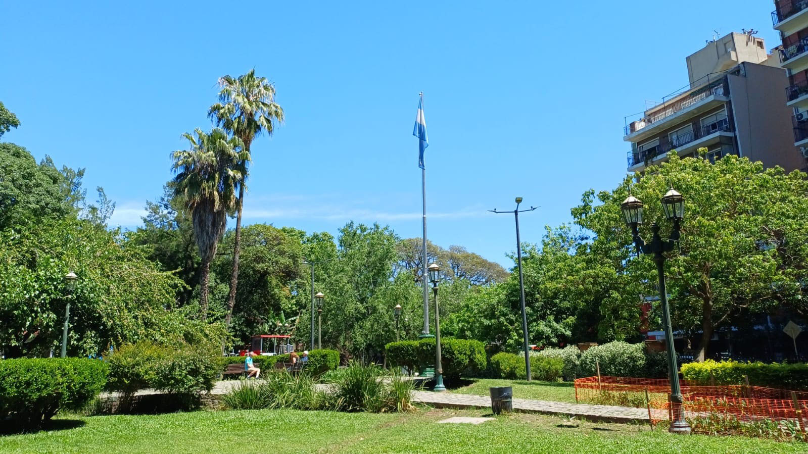 Plaza de los Olmos