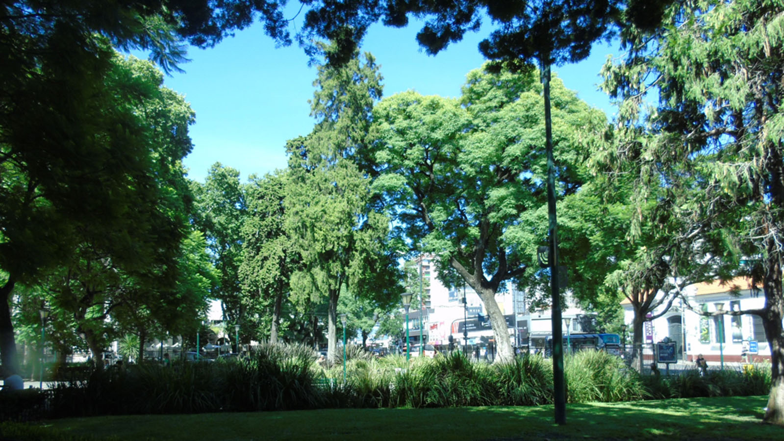 Plaza Manuel Belgrano