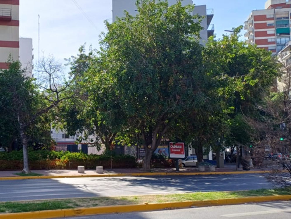 Plazoleta Dr. Enrique Sussini