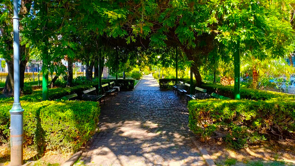 Paseo de la Vida: Dr. René Favaloro