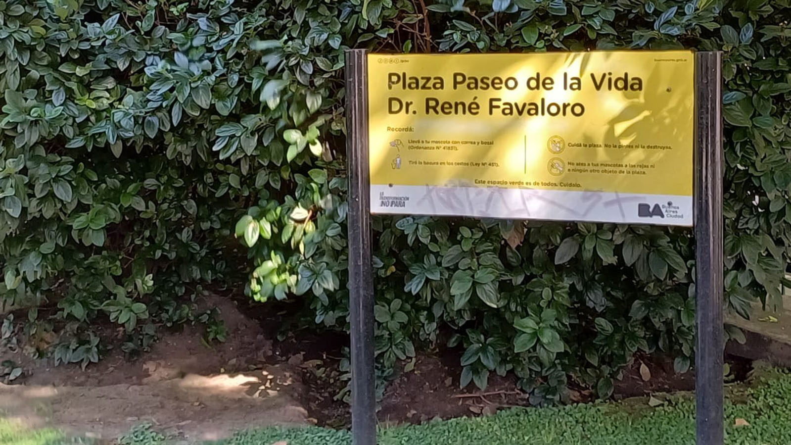 Paseo de la Vida: Dr. René Favaloro