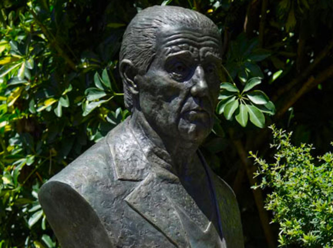 Dr. René Favarolo
