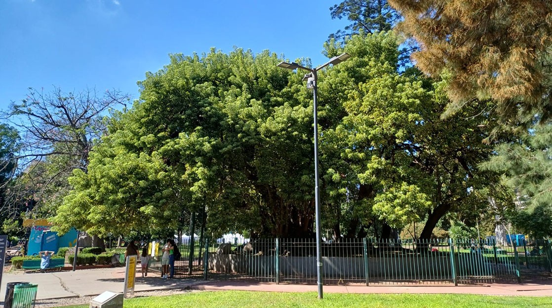Parque Rivadavia