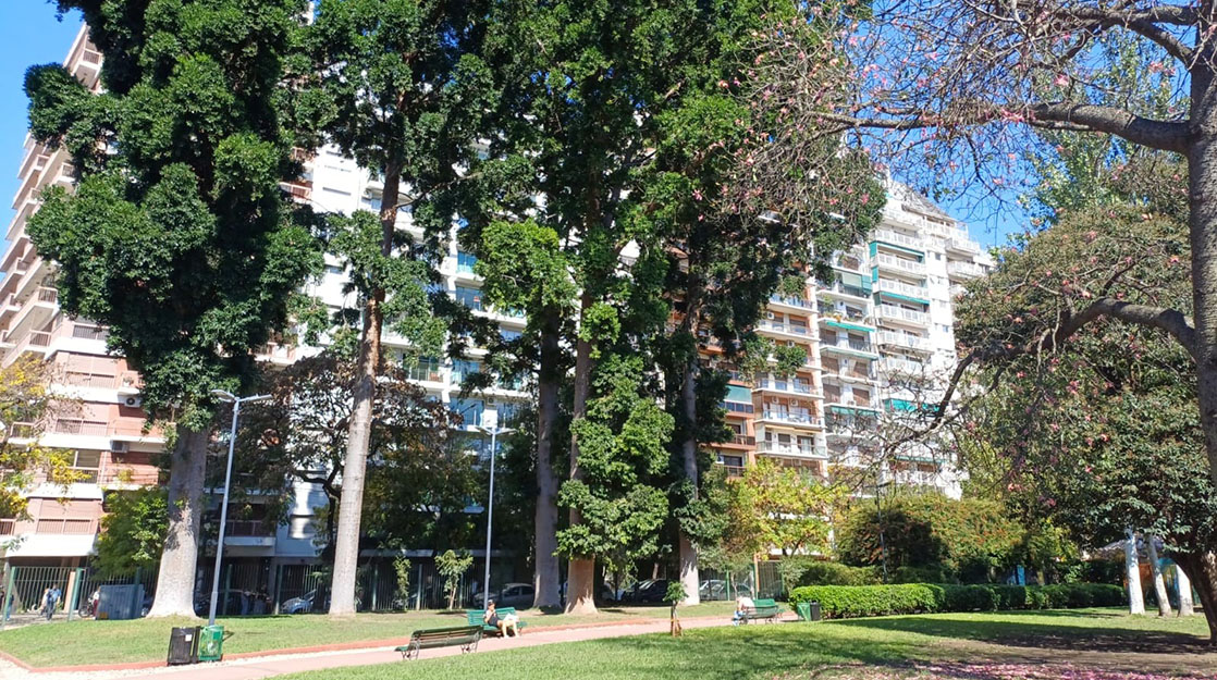 Imagen de galería 1