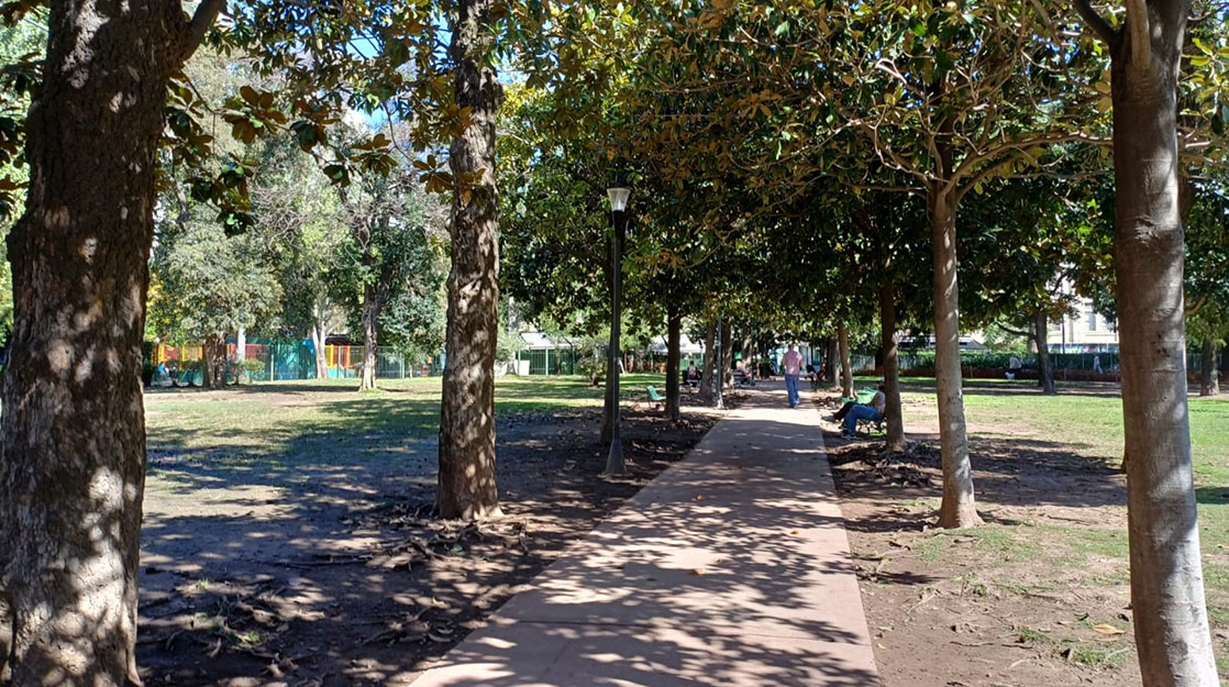 Imagen de galería 1