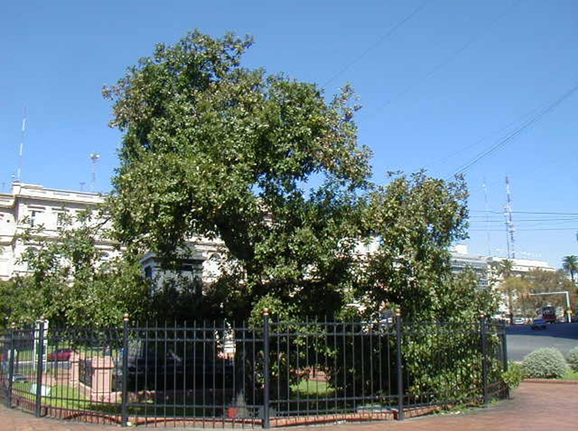 Árbol de Guernica