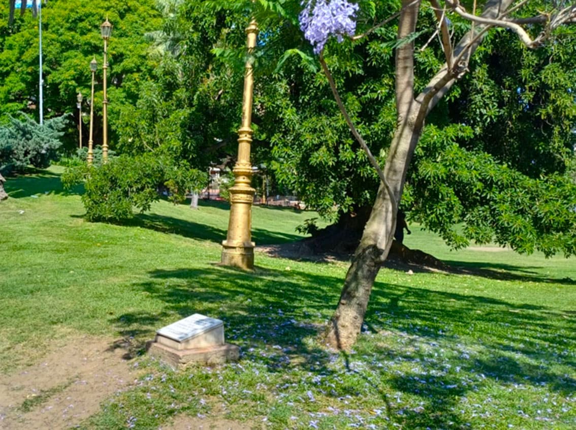 Jacarandá de Franca Jarach