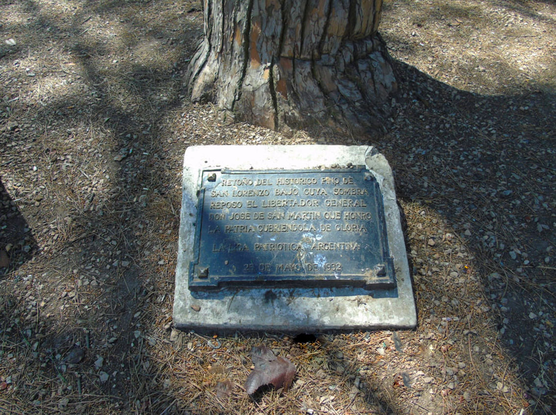 Homenaje Pino de San Lorenzo