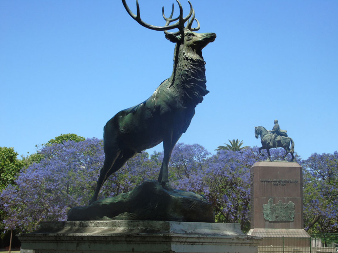 Ciervo