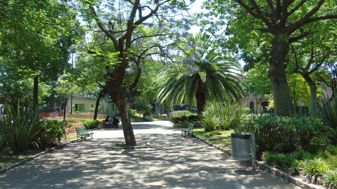 Imagen de galería 1