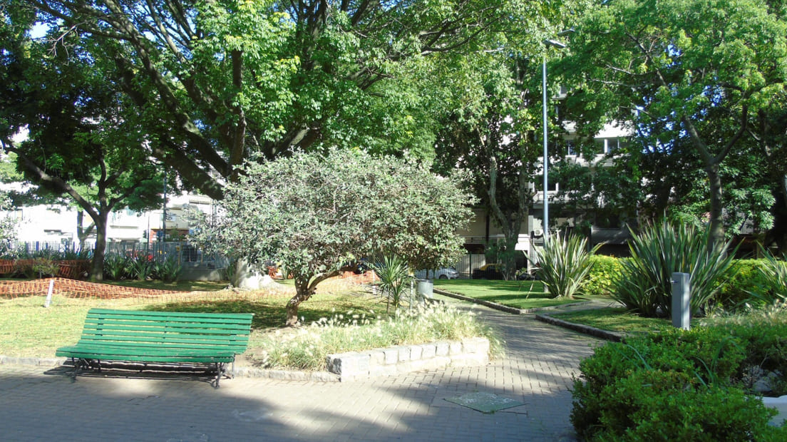 Imagen de galería 1