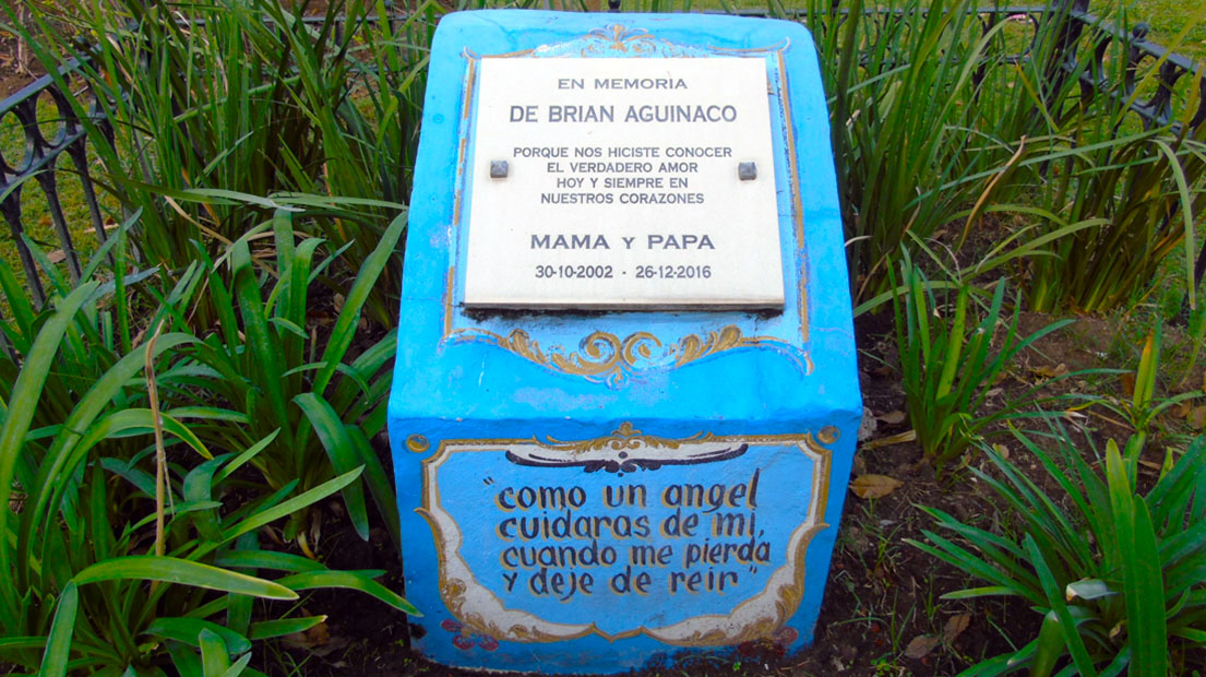 Descripción de la imagen
