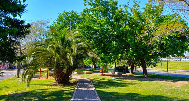 Cooperadoras Escolares