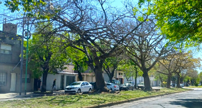 Diputada Emar Acosta