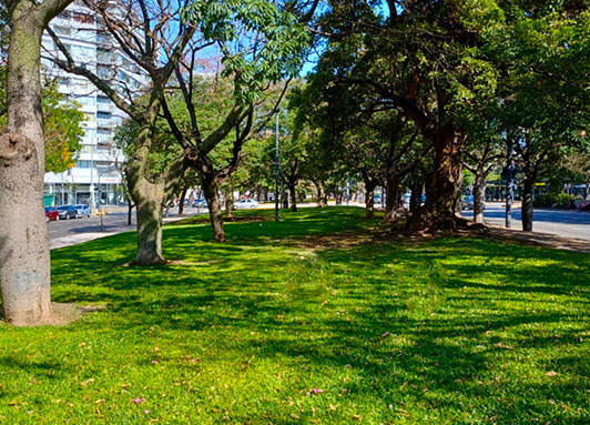 Cantero Central Provincia de Entre Ríos