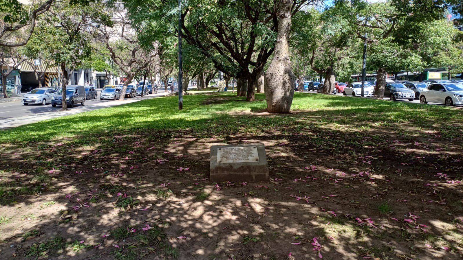  Cantero Central Provincia de Chubut