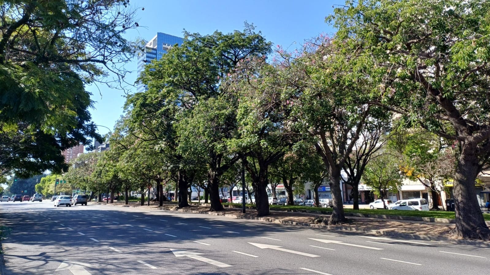 Cantero Central Provincia de Entre Ríos