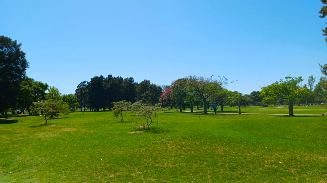 Imagen de galería 1