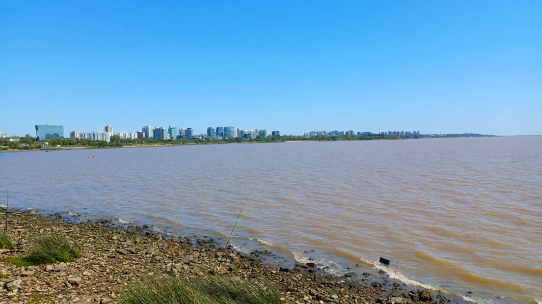 Imagen de galería 1