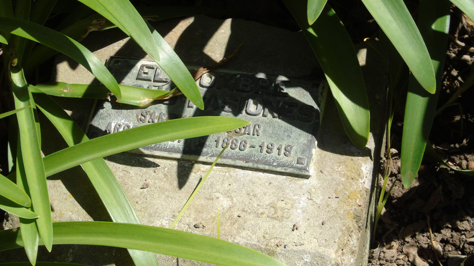 El Hombre y sus pasiones