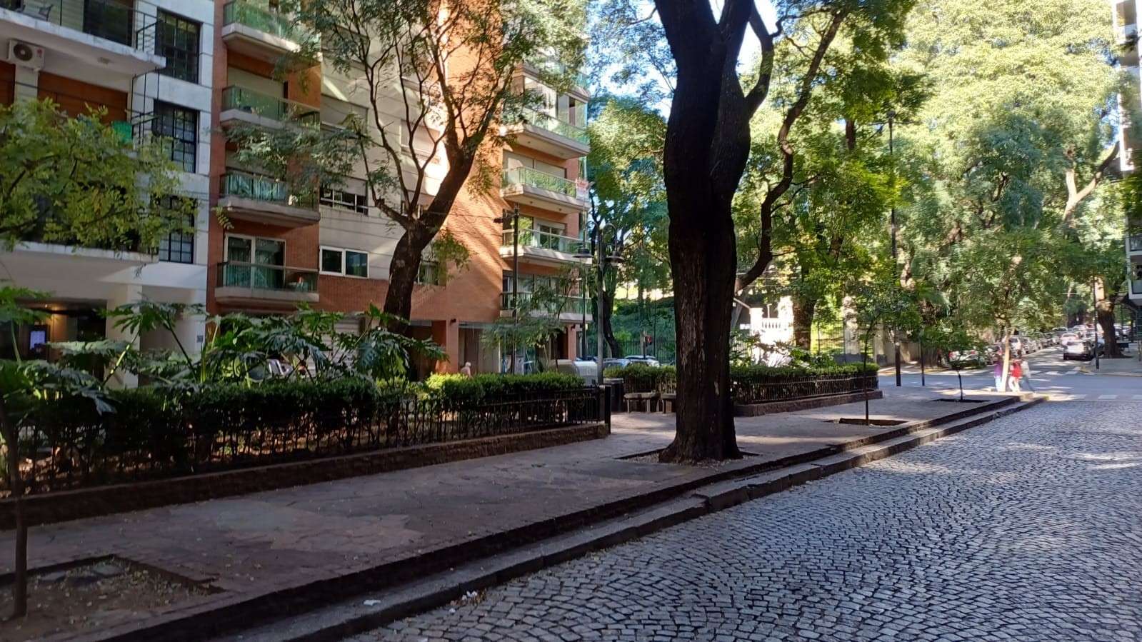 Imagen de galería 1