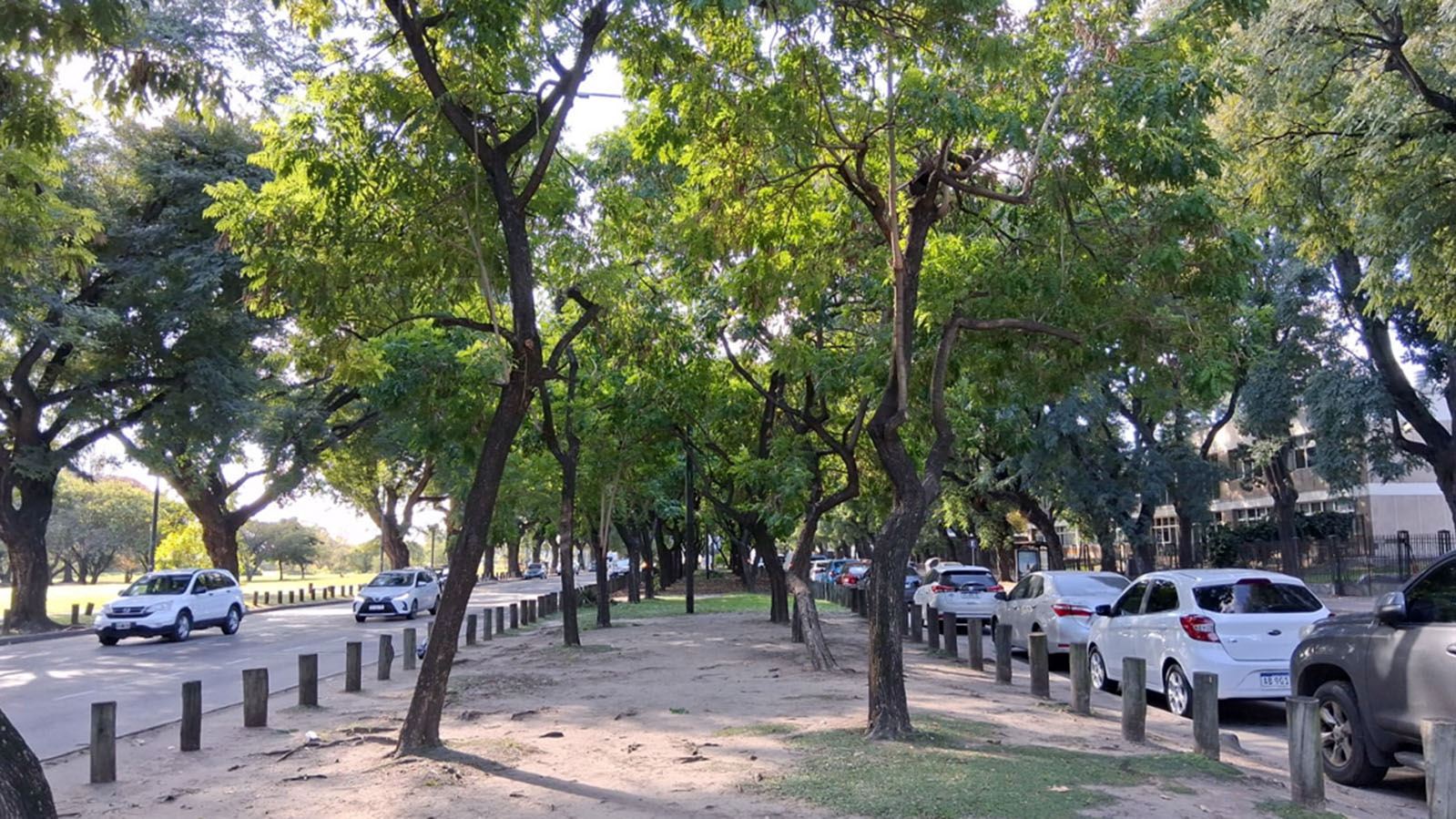 Cantero Central Guillermo Barbieri