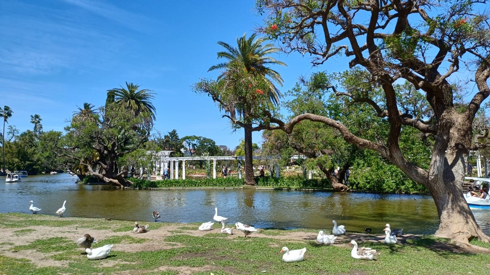 Parque 3 de Febrero - El Rosedal