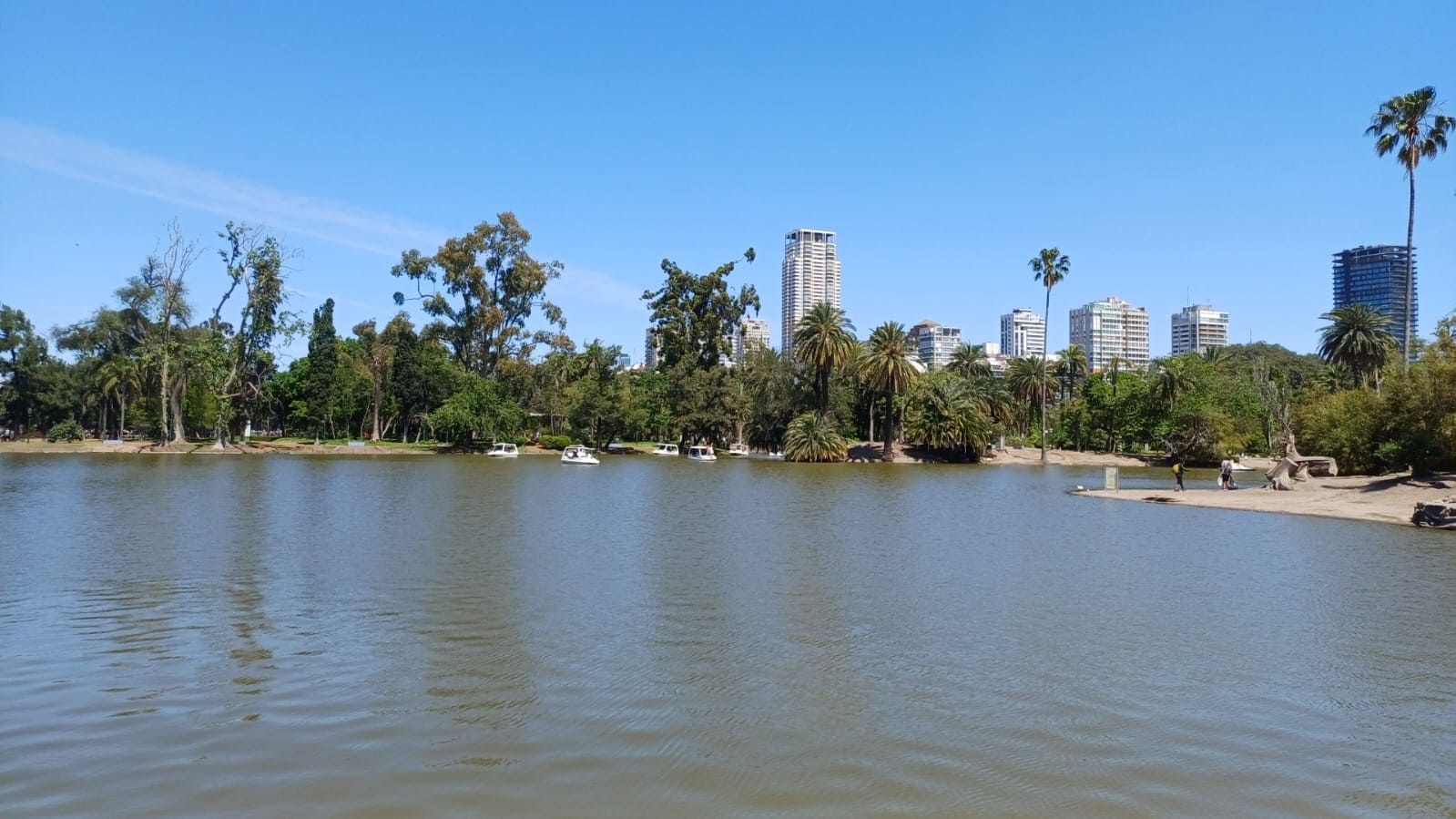 Parque 3 de Febrero - El Rosedal