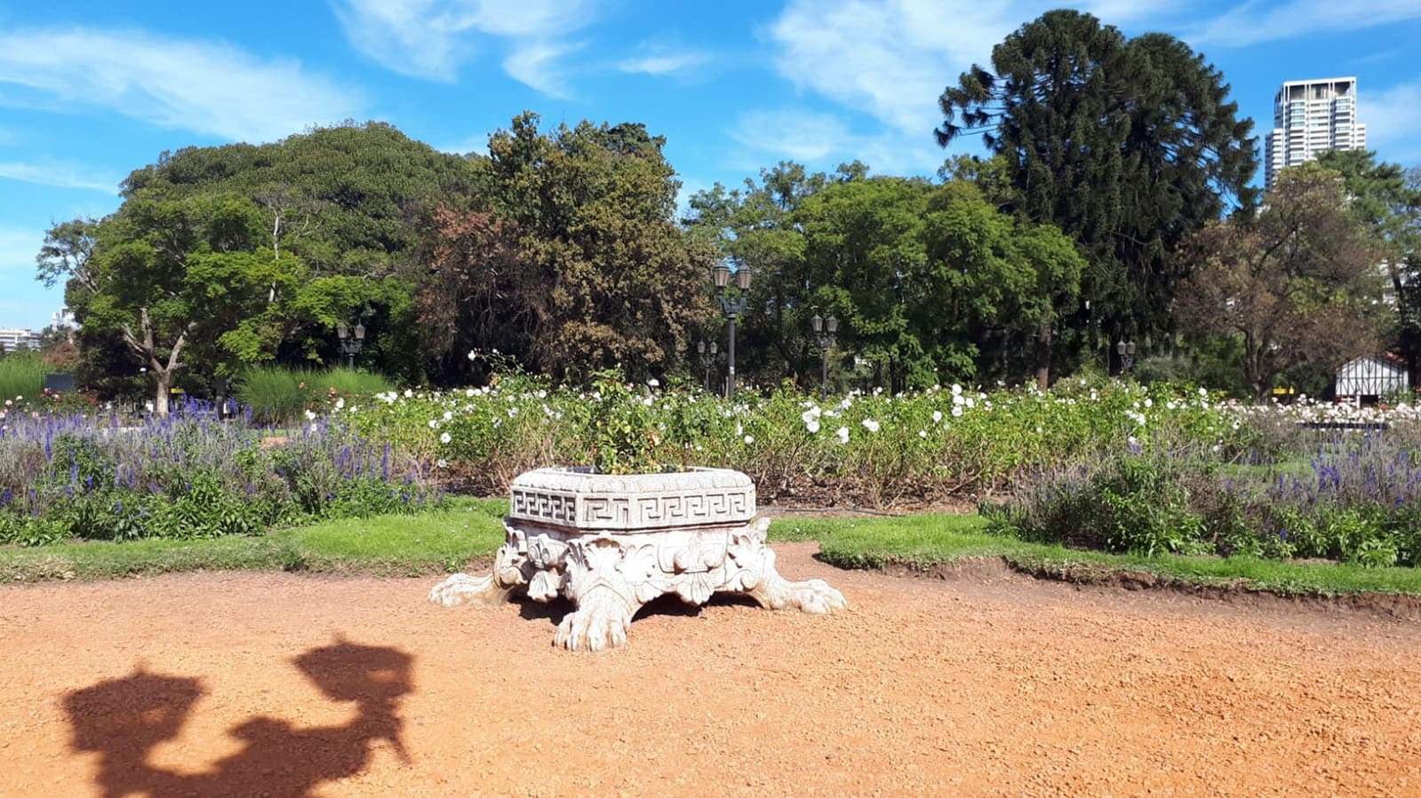 Parque 3 de Febrero - El Rosedal