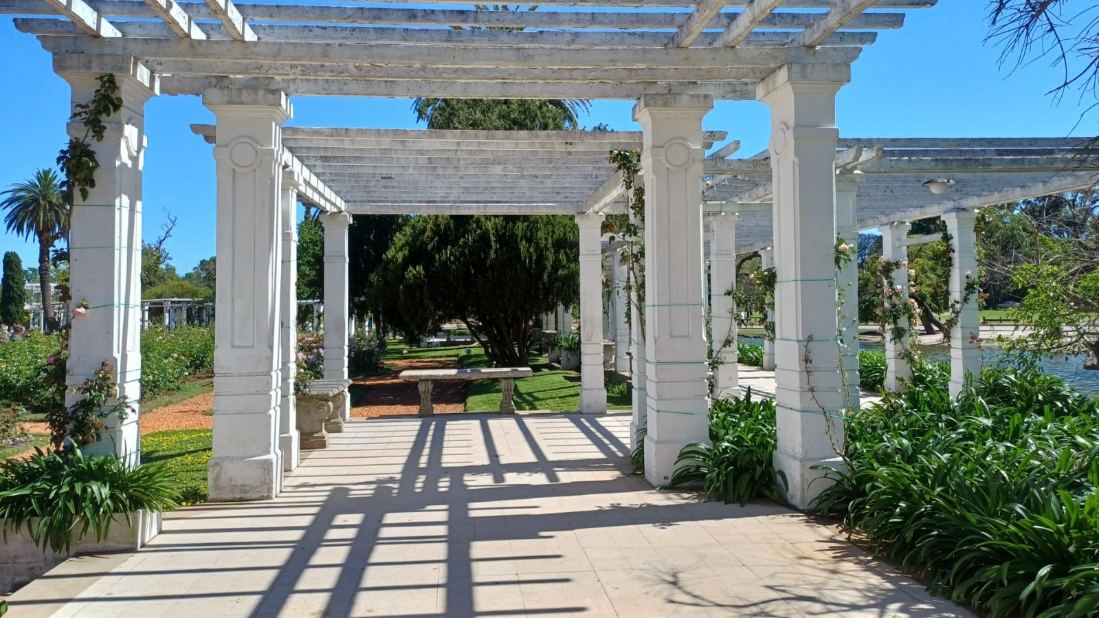 Parque 3 de Febrero - El Rosedal