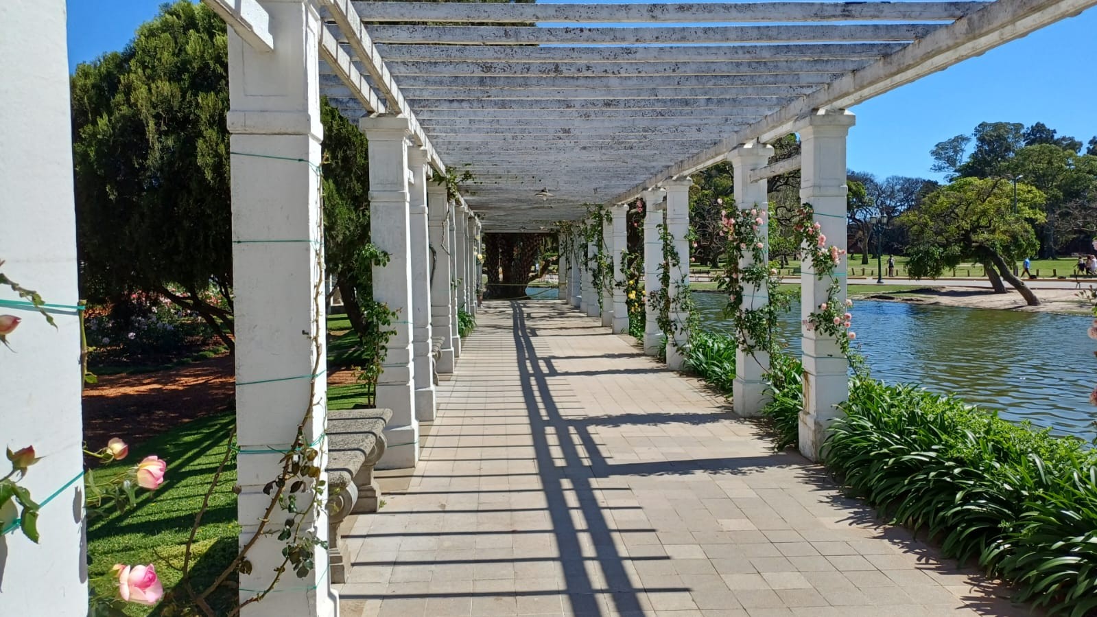 Parque 3 de Febrero - El Rosedal