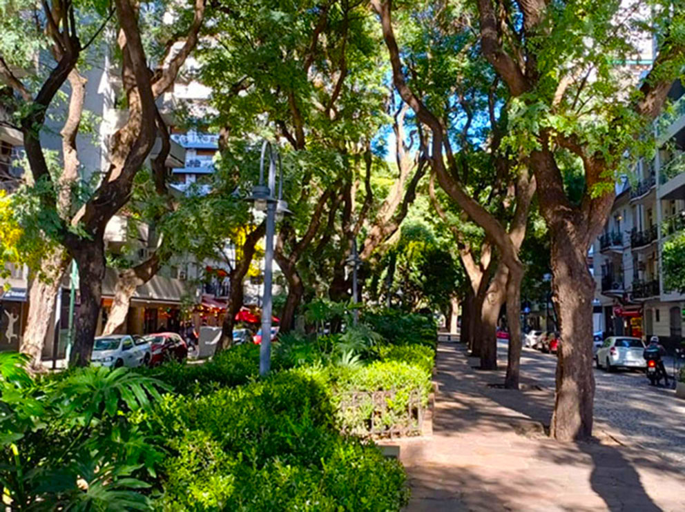 C.C. Dr. Emir E. Mercader