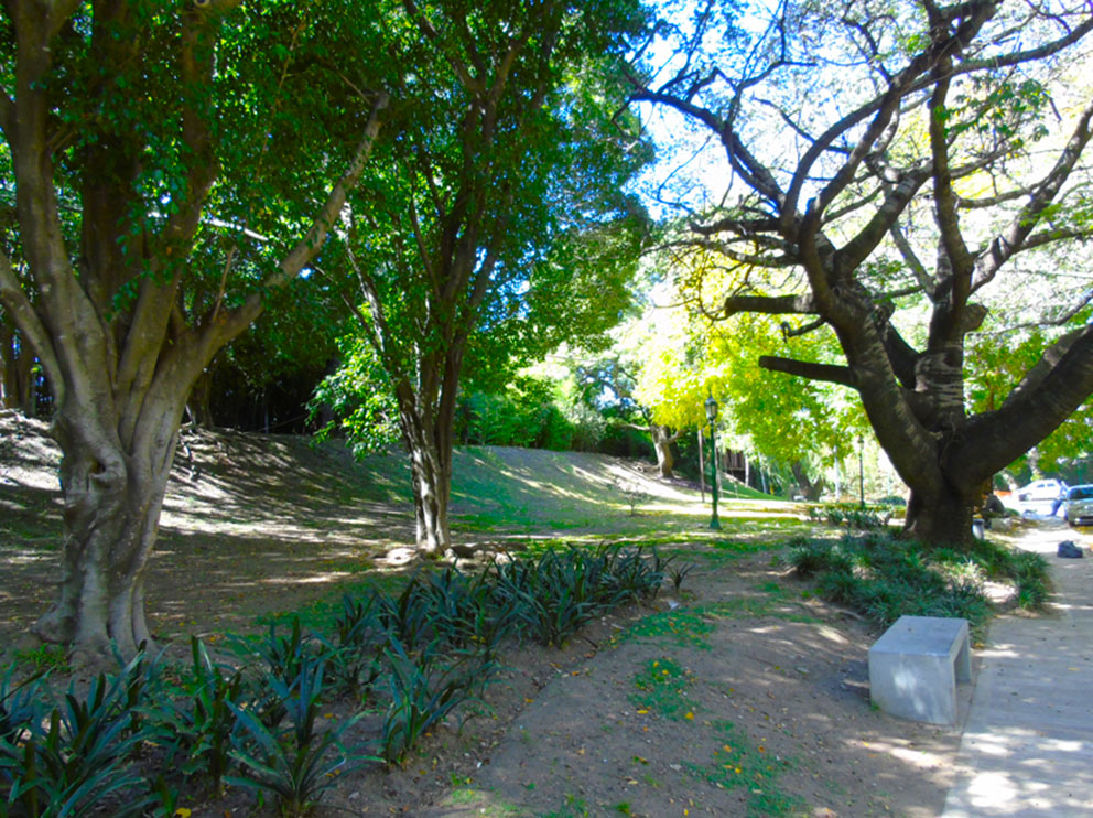 Plzta. Juan C. Gobián