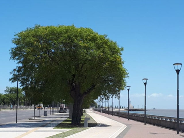 Paseo Alfredo Zitarrosa