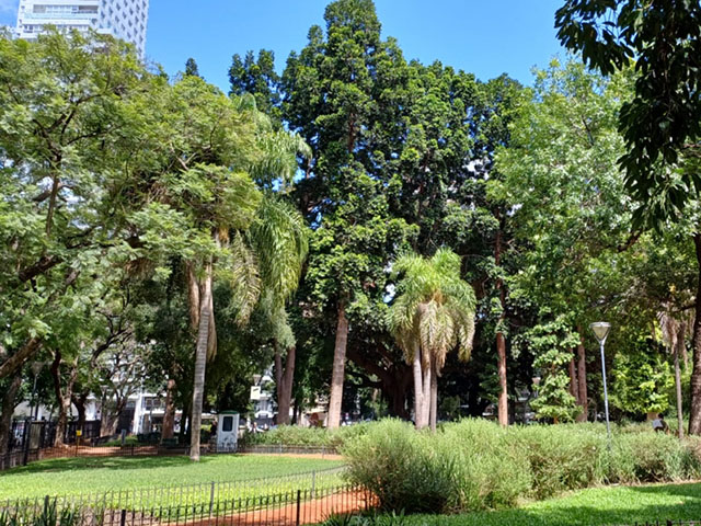 Plaza Intendente Casares