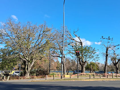 Plazoleta Tato Bores 