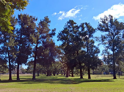 Parque Olimpico