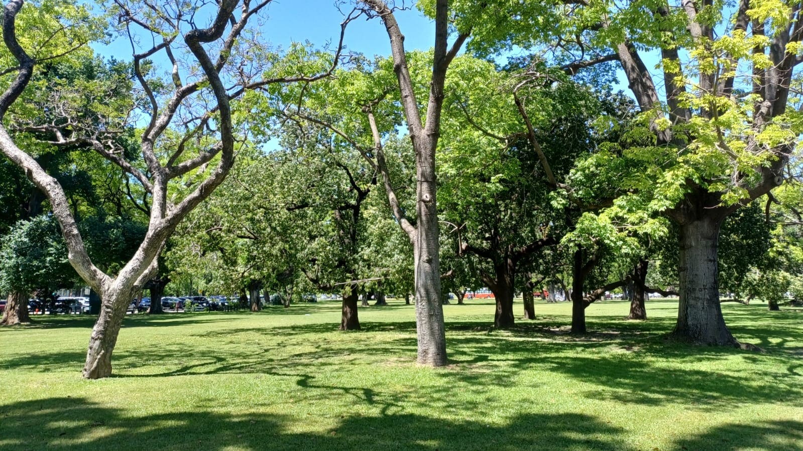 Parque Agustín P. Justo
