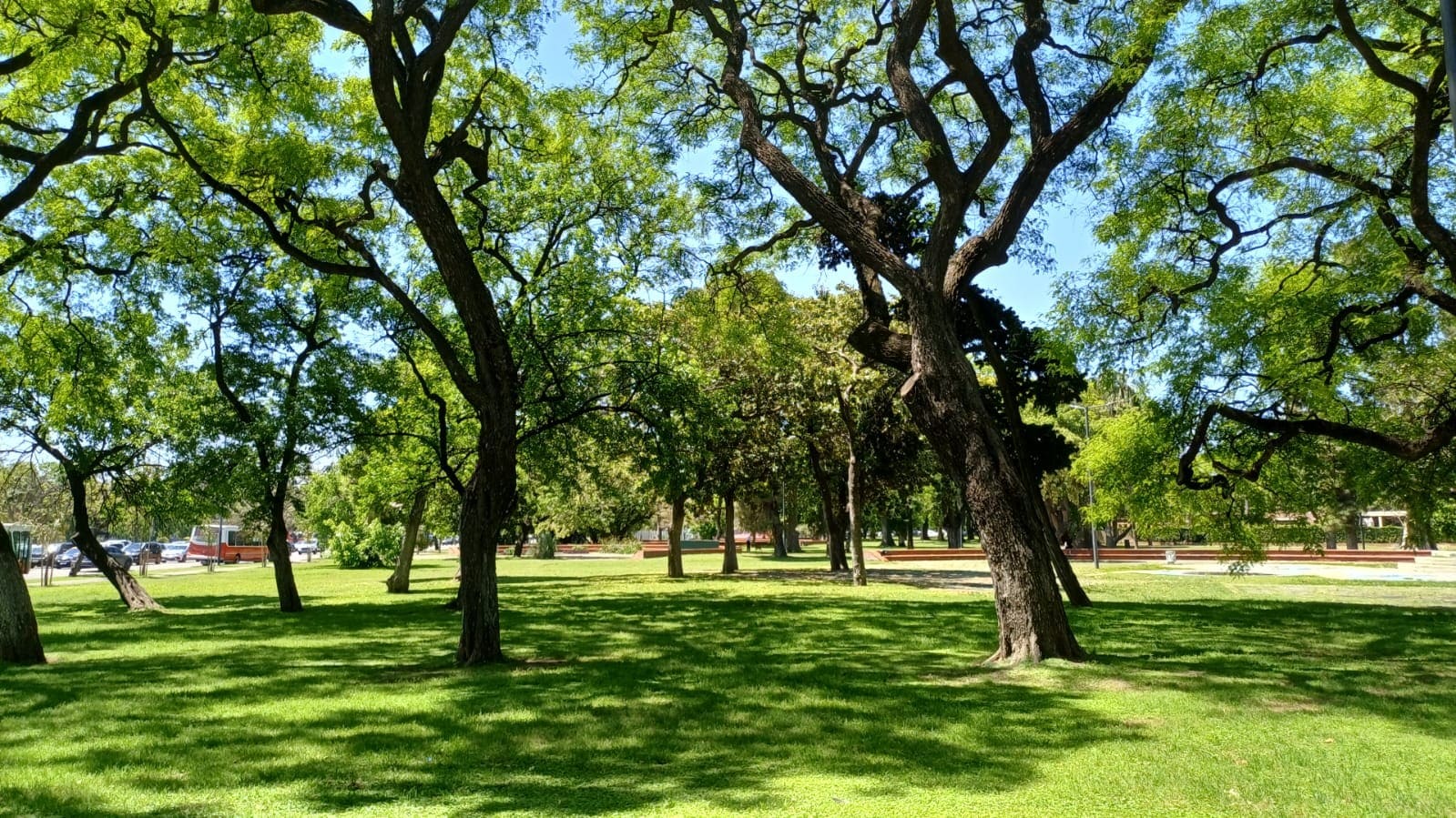 Plaza República Árabe de Egipto 