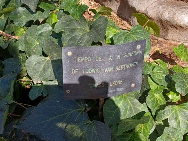 II TIEMPO DE LA VI