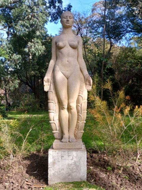 Flor Indígena