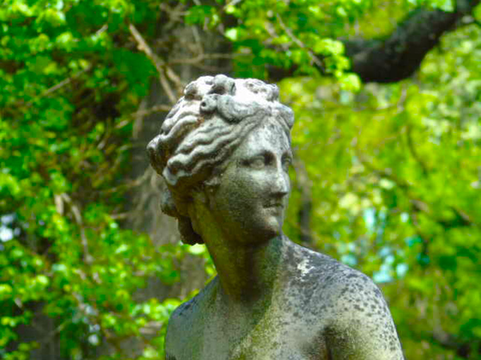 Venus
