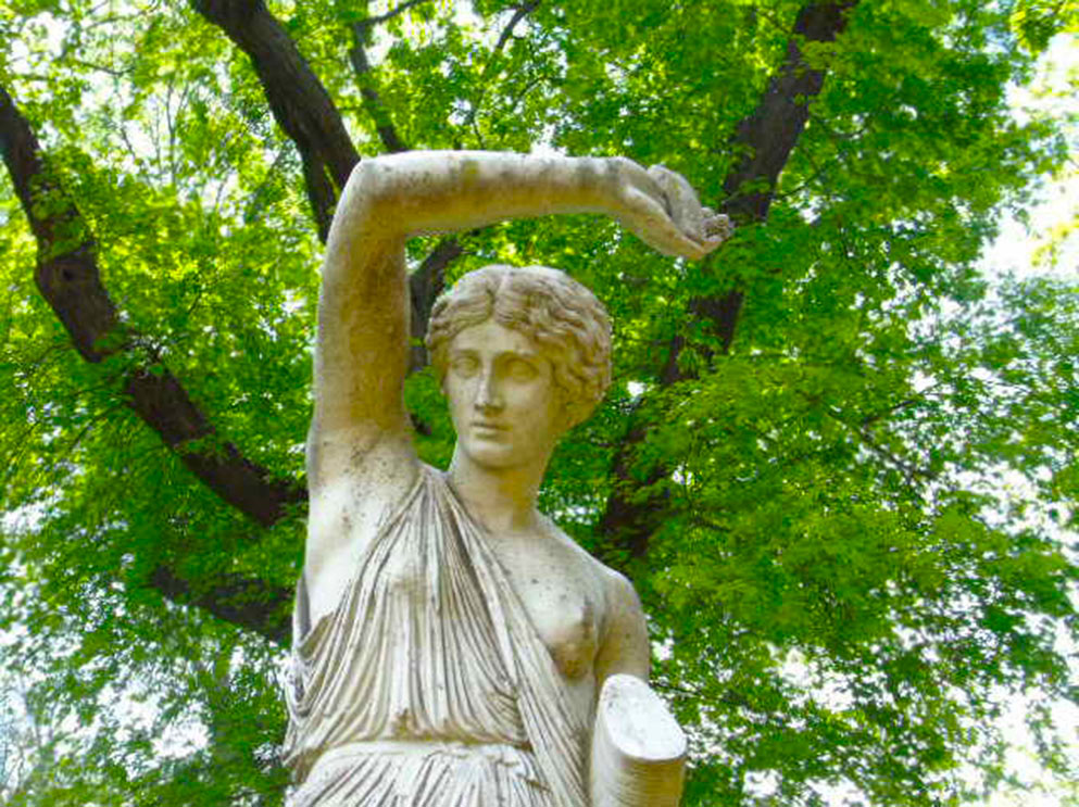 Amazona